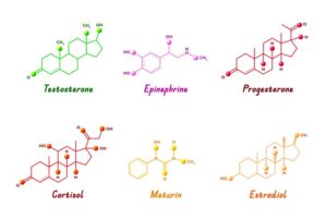 <img src="foo.jpg" alt="<Alpha Hydroxyl Acids -(AHAs) and- Beta Hydroxyl Acids (BHAs)">