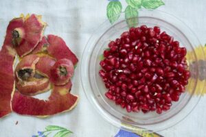 <img src="foo.jpg" alt=</" Benefits of Pomegranate Peels" /> 